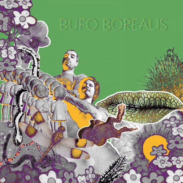 LP Bufo Borealis - Pupilas Horizontais
