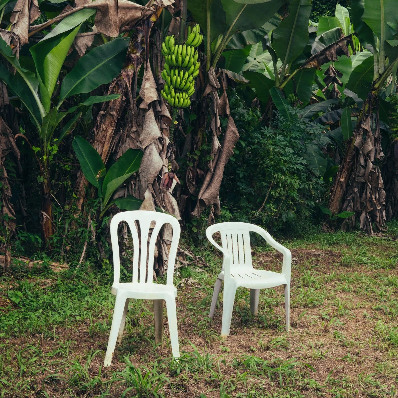 Lp Bad Bunny - Debí Tirar Más Fotos