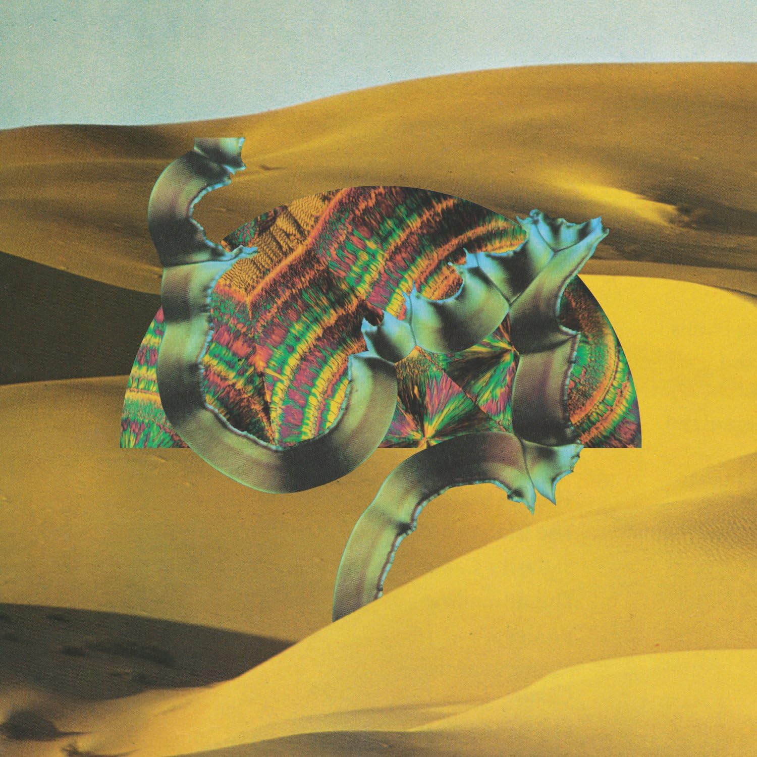 LP Django Django - Django Django