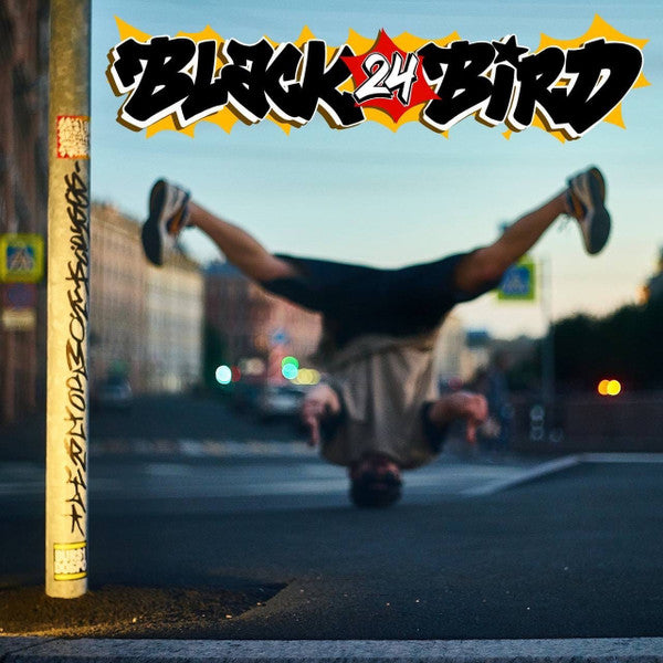LP Black24Bird - Breakometry