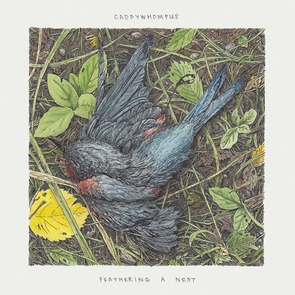 LP Caddywhompus – Feathering A Nest