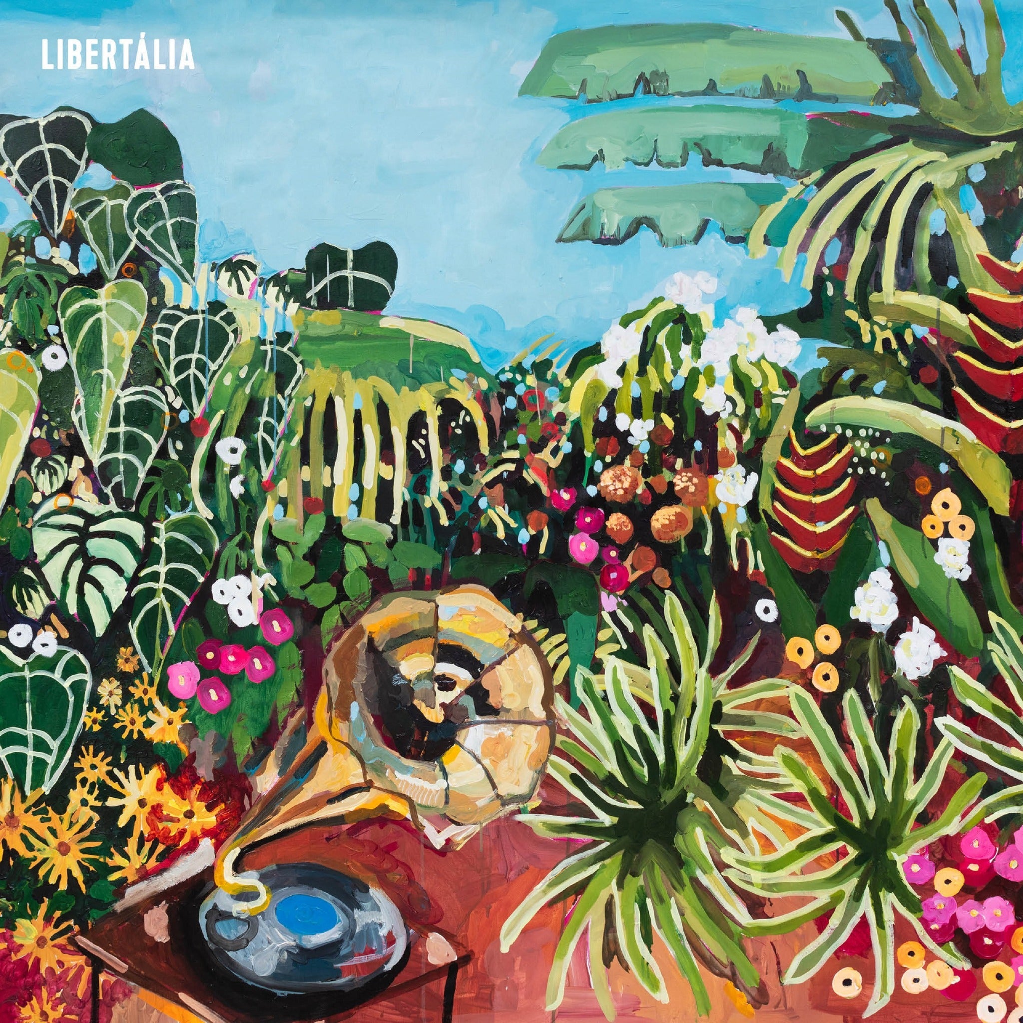 LP Libertália - Libertalia